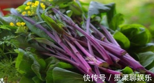 排毒|女性到了中年常吃的食物,刮油减脂,排毒护肤,预防子宫早衰