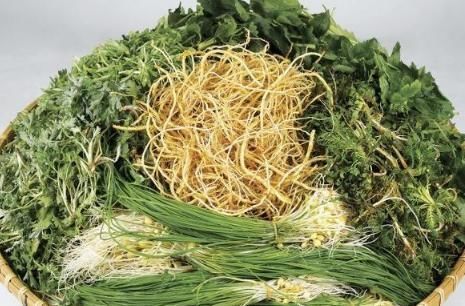 此物|常吃鸡蛋能益智补脑?鸡蛋搭配“此物”,效果更佳,早知早受益