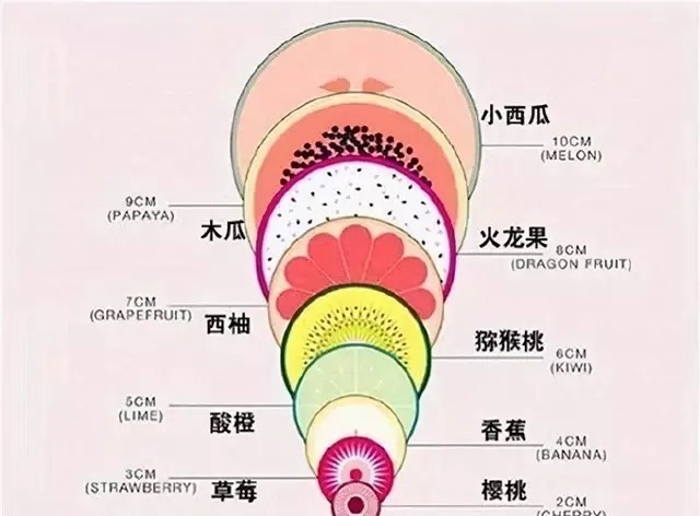 宝妈|孕妈顺产时，“开十指”宫口到底开多大？一张水果平面图让人震撼