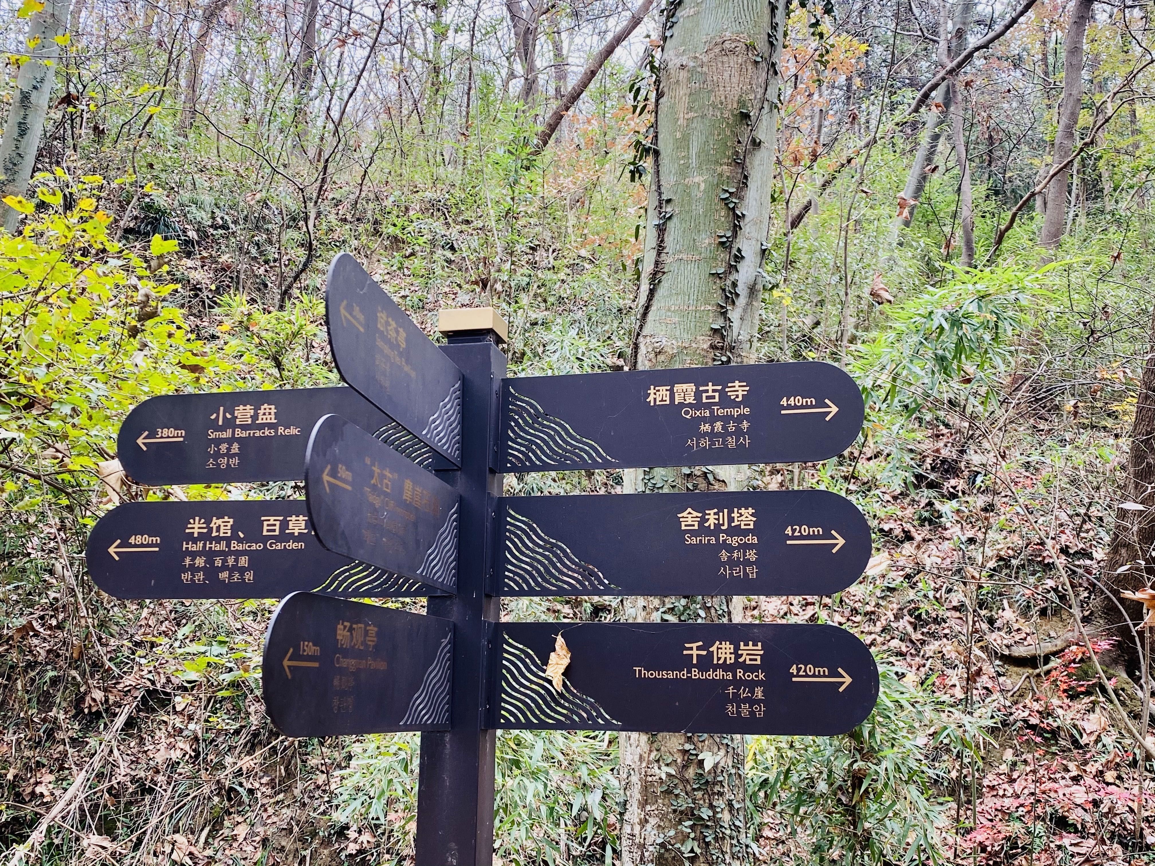 到栖霞山赏|初冬的南京栖霞山，来一场色彩斑斓的旅行