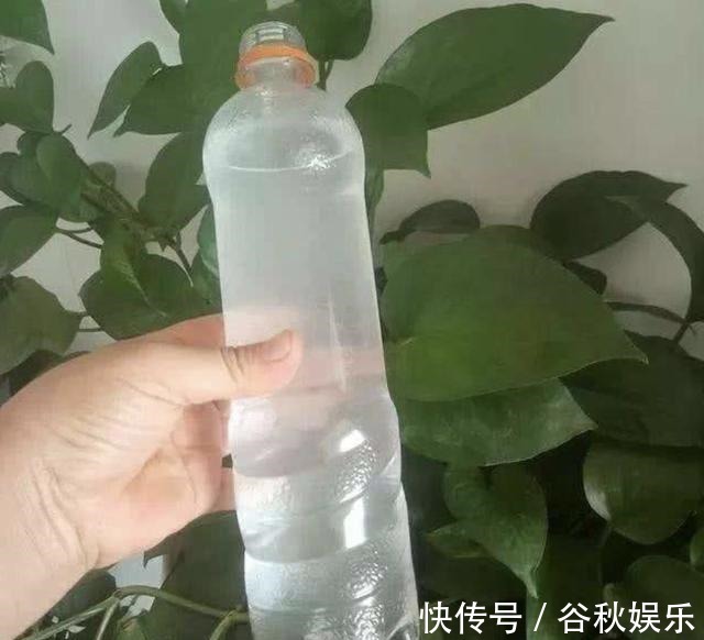 gt|磷酸二氢钾“使用方法”!怎么用什么时候用,有不少注意事项!