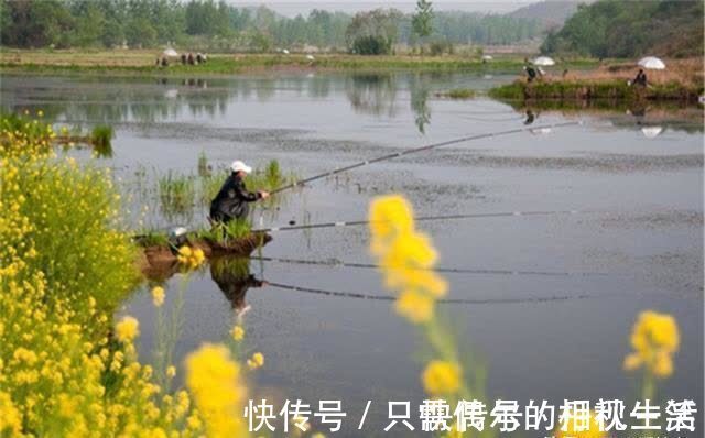 素饵|仲春野钓大板鲫，守钓不如走钓，死等不如逗钓，要打“游击战”