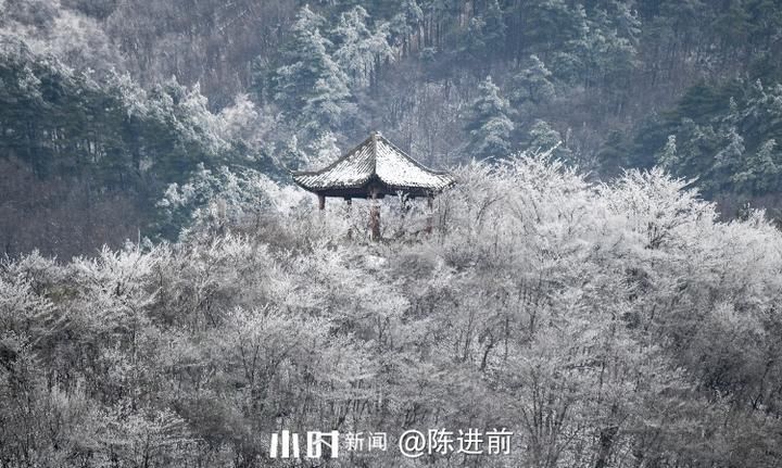 摄友|你在北方的冬天里看雪景，我在南方的冬天里看秋景