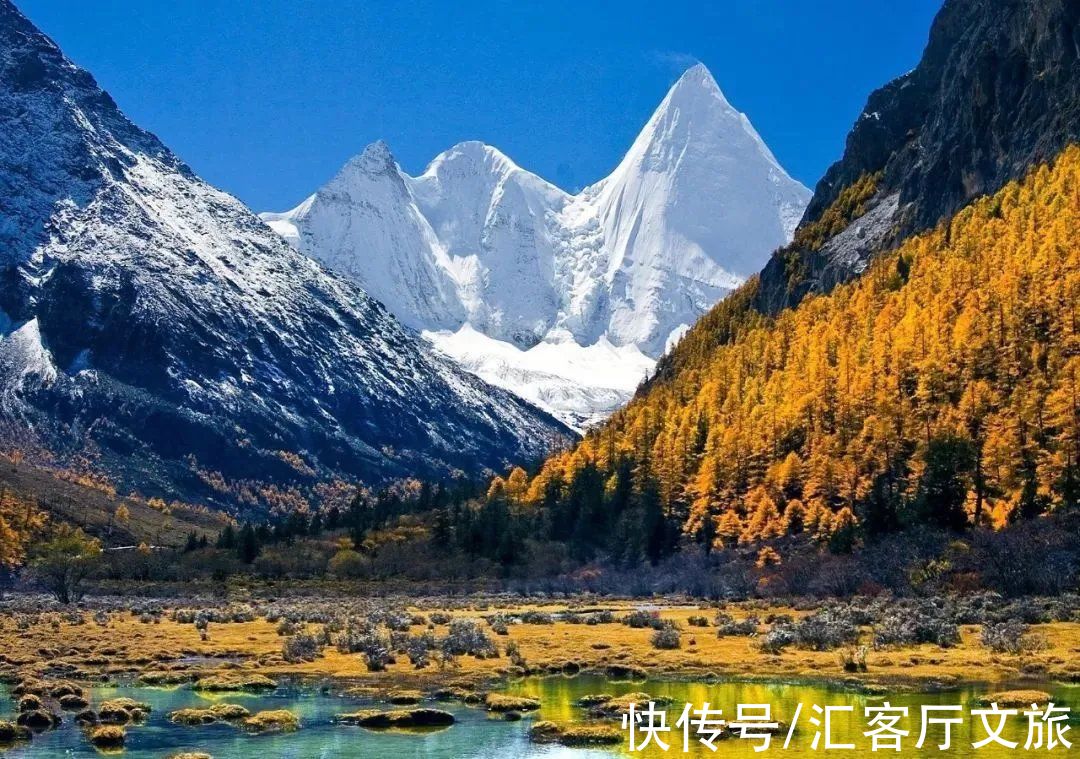 四姑娘山|忽然，就想去稻城亚丁了