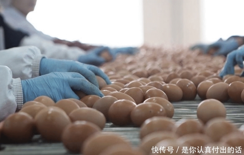 鸡蛋|选购鸡蛋的过程中,如何判断它的新鲜度,从这些方面来注意
