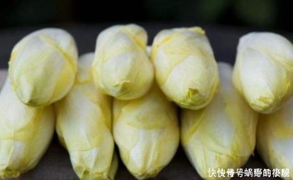 有种废根别丢,养在盆里一星期,其价值堪比鸡蛋的三倍