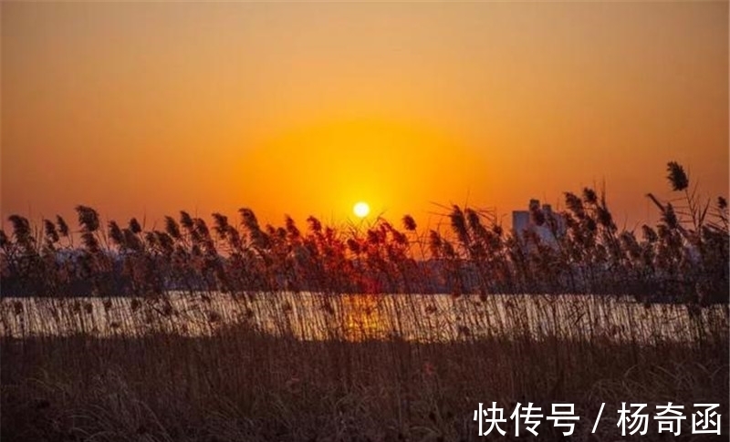 范仲淹@寒露,在诗词中感受凉凉的秋意,赏析范仲淹的千古名篇《苏幕遮》