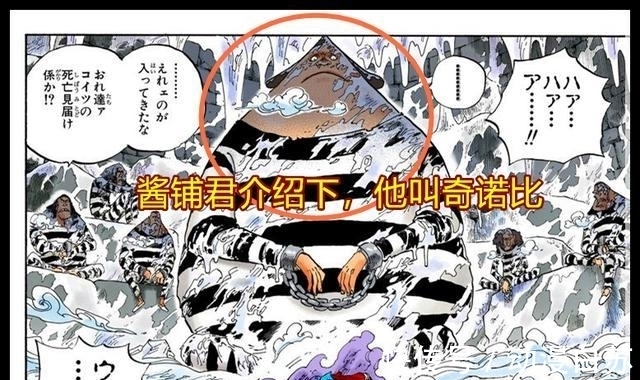尾田|海贼王官方情报:尾田公布第6层新的隐匿成员,名字叫伊巴
