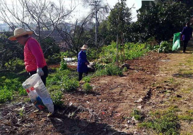 花卉|4种土，宁可扔了也别养花，不然累死也养不好！