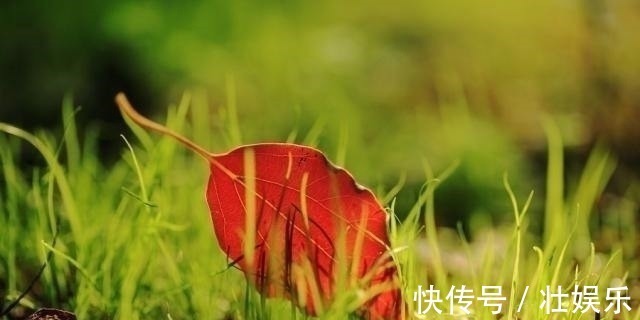 婢女@多少人败在“不会做人”上熟记这3个做人技巧,未来会越来越顺