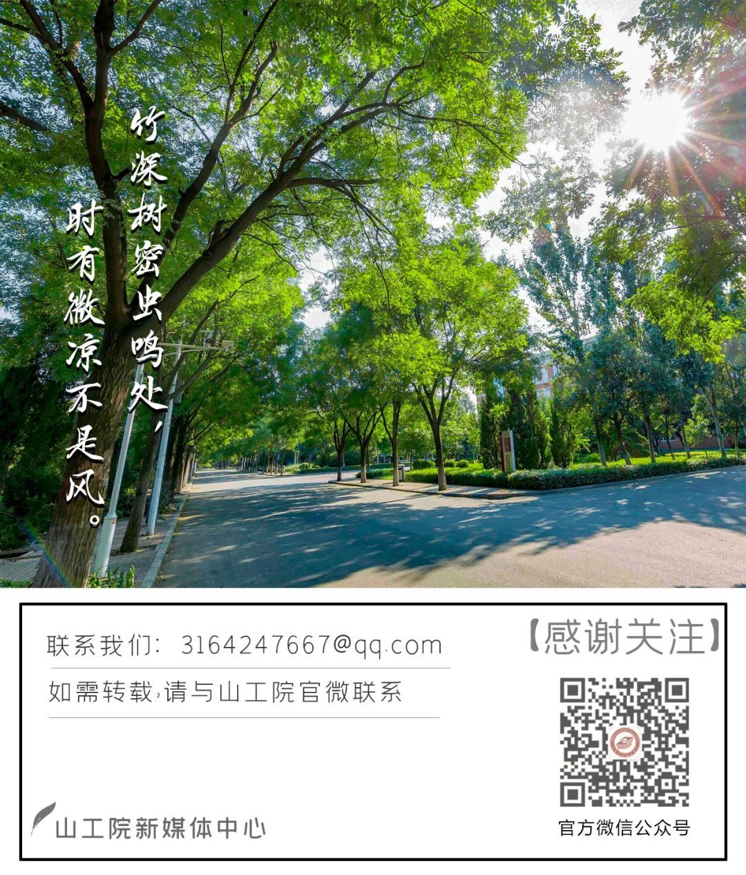 美好的青春要在实践中散发光芒~~|我们的暑期 | 学院