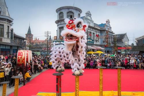 屋檐、地面雪白一片，大朵“雪花”从天而降，浙江宁波下雪了