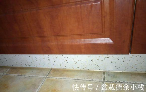 pvc|入住新房一年多,具有生活温度的22个装修设计经验