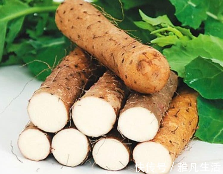 膳食纤维|胃不好的人,7种食物要多吃,保护胃黏膜,远离老胃病