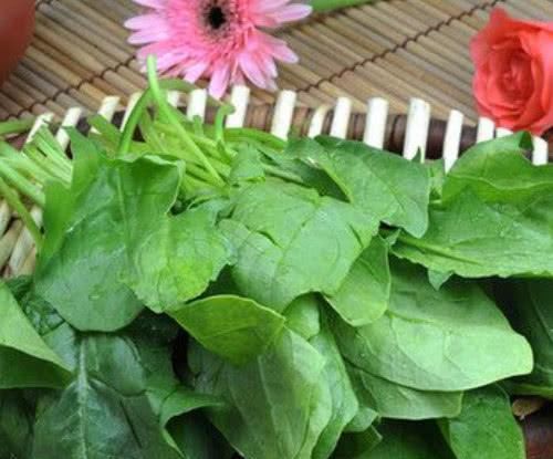 得了高血压不用怕! 多吃这几种食物, 高血压和你“分道扬镳”!