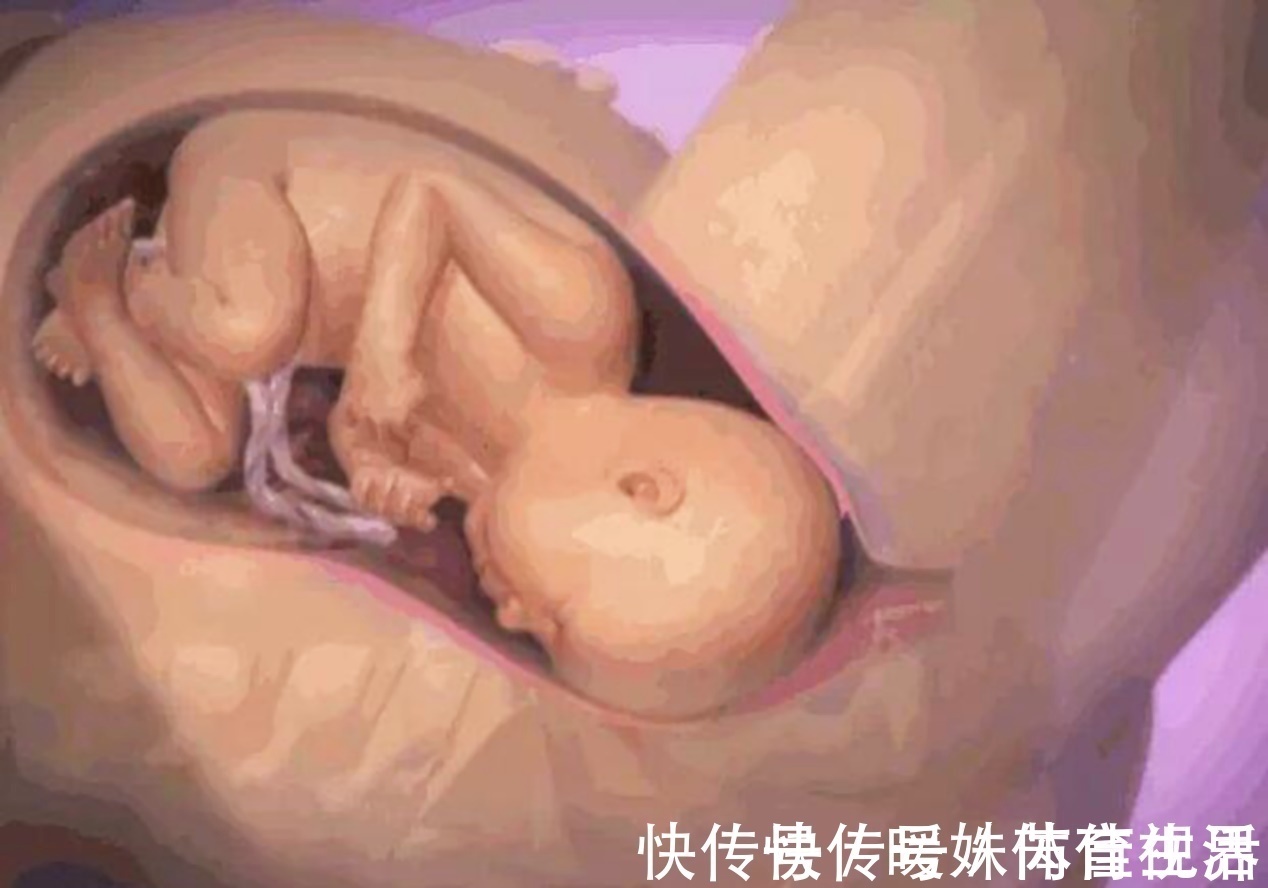 产妇|分娩最痛苦的不是产妇,而是产道里的宝宝?一般人都难以忍受