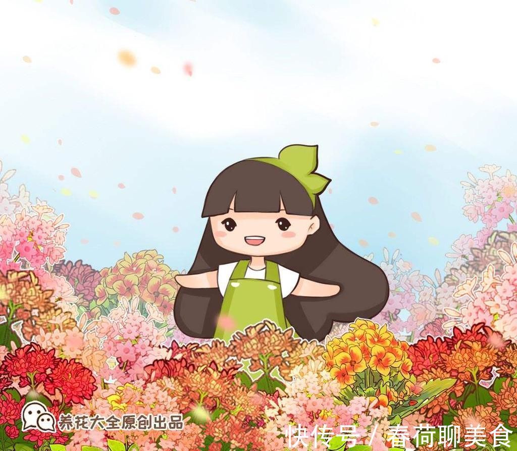 花期长好养护的长寿花,居然有这么多品种,真的美极了!