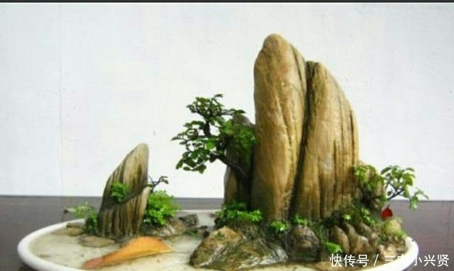 怎样才能修饰出更显自然的山水盆景