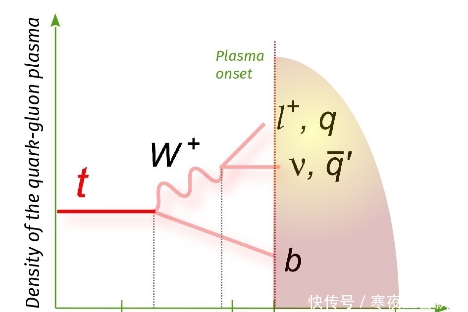 核-核碰撞中顶级夸克产生的第一个证据