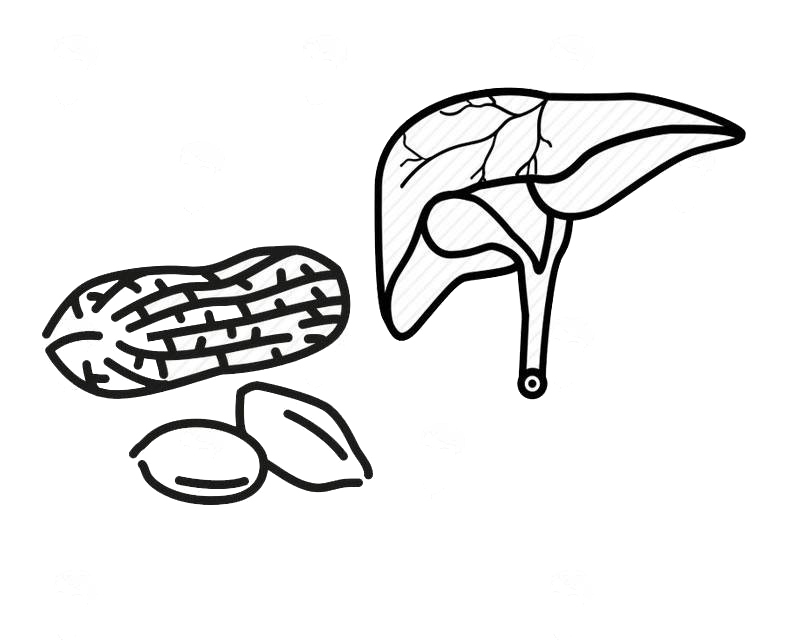 中国人|被补血的中国人?比起吃花生皮,要想真正能补血,倒不如吃这3样