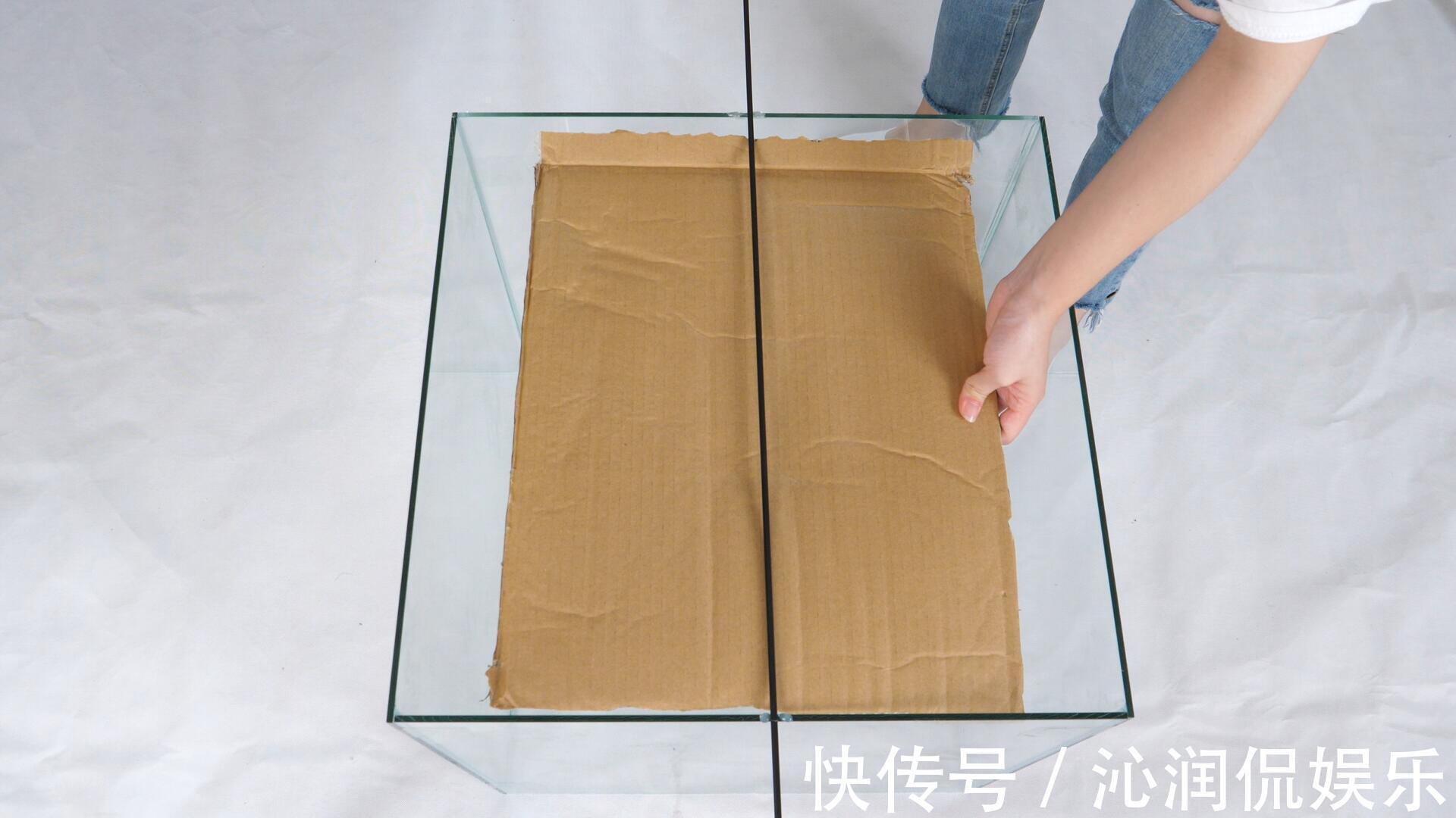 家里有老鼠别急,把它放角落里,来多少抓多少,好方法简单实用