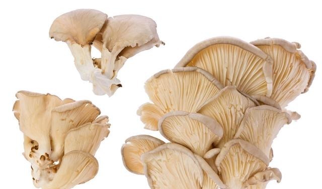 胆固醇|心血管专家洪昭光人人都可活到100岁,只要60岁前别做这6件事