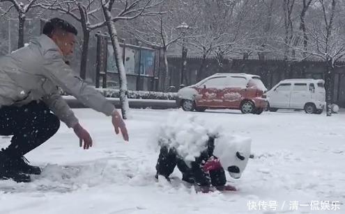 雪花|“最无情奶爸”带娃玩雪走红，奶奶提着30米大刀在赶来的路上