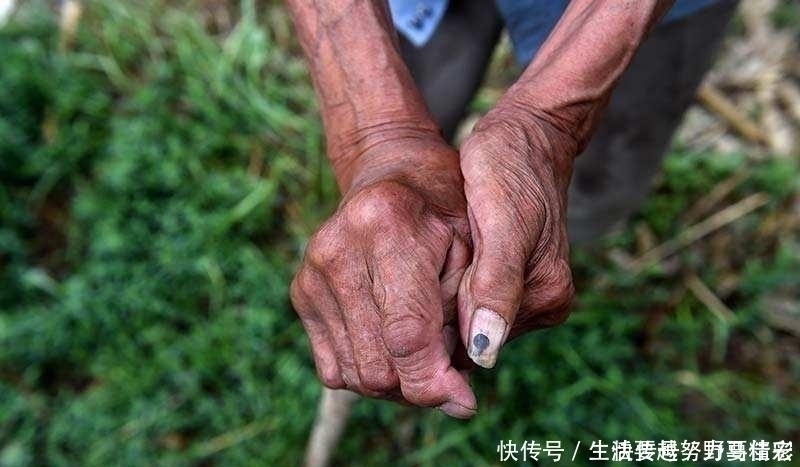 海风藤|中医院士的舒筋方恢复筋骨弹性，对抗风湿，灵活关节