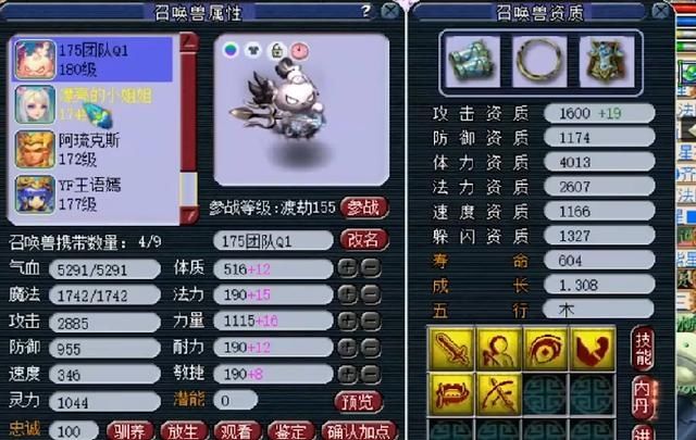 次数|梦幻西游：全服首只出手次数最多的个性宠，一回合攻击16个目标