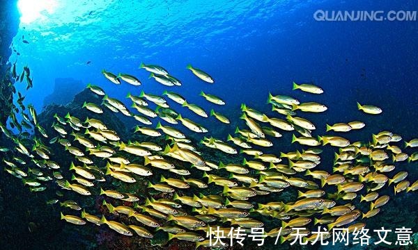 冷知识|这些冷知识看完后姿势长了一大截!