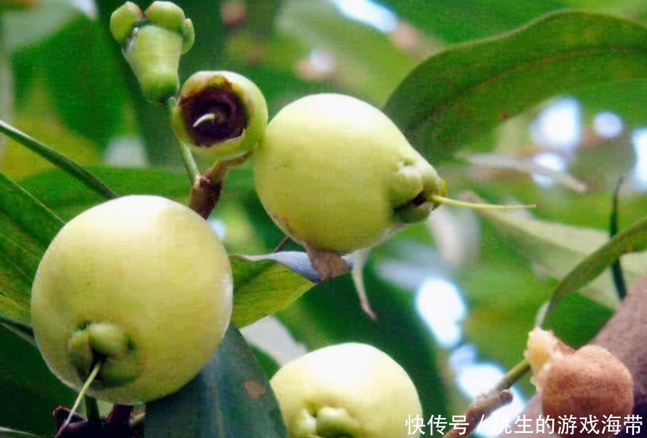 消脂|会吃的人最健康,常吃3种食物,排毒护肝,减肥消脂,有益健康