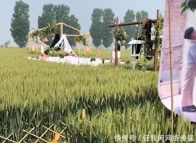 麦子|河北邢台新人在麦田里举行婚礼,即将收获的麦子被压弯在地!