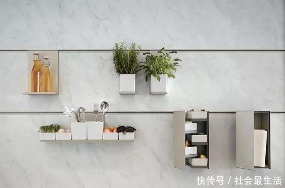 外国人发明的“室内小菜园”,一年四季长爆盆,太神奇了……!