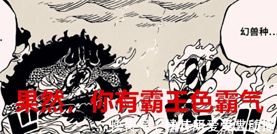 乌索普|海贼王1024话:大和居然有霸王色,上船有戏?乌索普又被称为神
