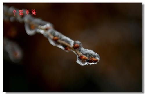 铅山|铅山葛仙山白雪皑皑，犹如冰雪童话世界