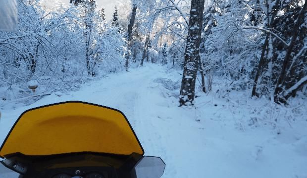 酒店|机票往返1K以内就能去东北滑雪！圣诞元旦报名即将截止...