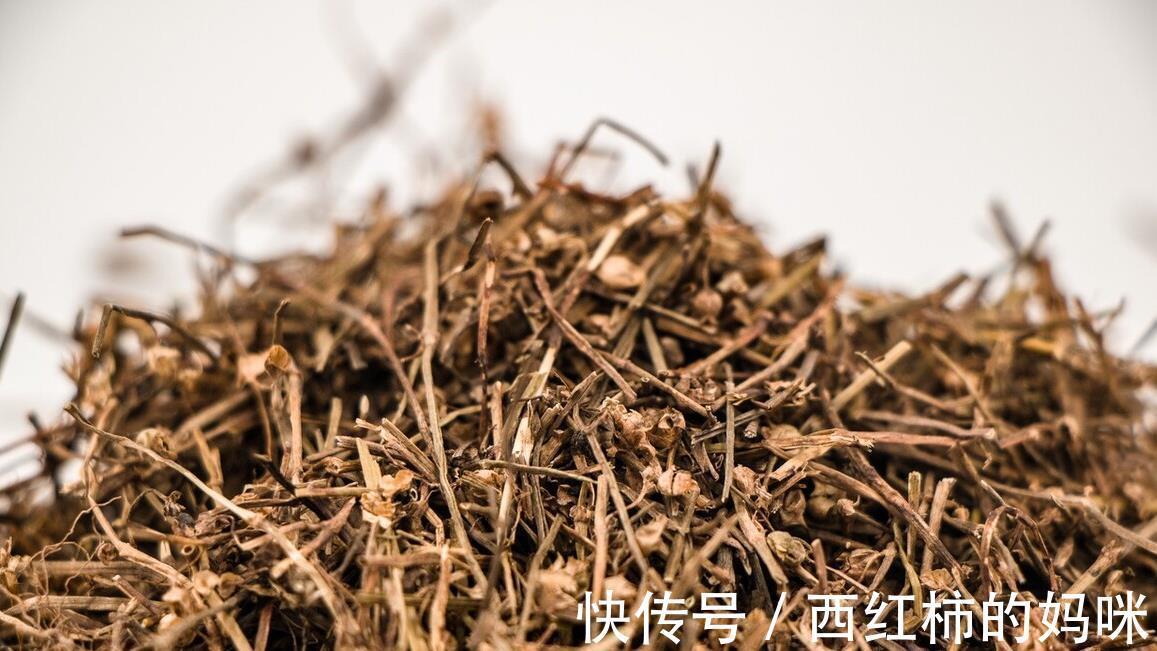 半枝莲|黄挺教授,常用这5味中药,化痰散结、解毒祛瘀,治非小细胞肺癌