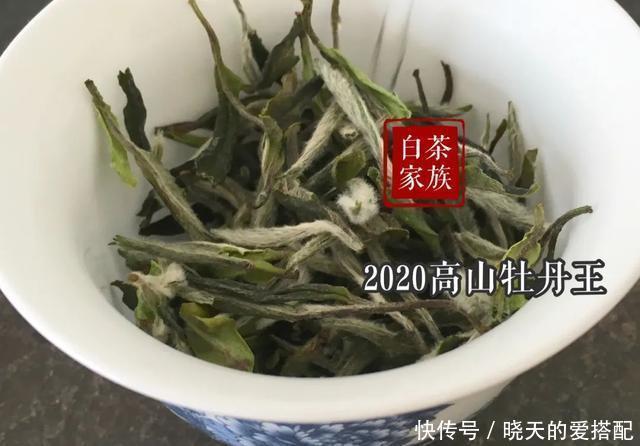 白茶圈中有一对欢喜冤家:散茶和饼茶,究竟谁能博得茶友的欢心?
