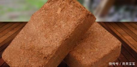 排泄物|你们知道养花用什么土最好吗?这四种土,越种越好看!