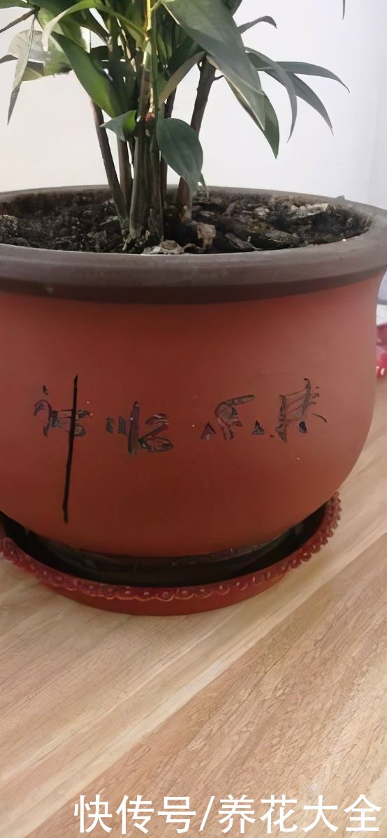 花盆选好了，花草活一半，现在就教你