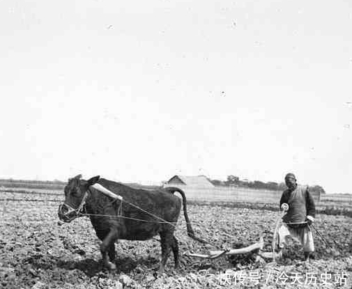 曾国藩他爹|一老农报官，县令不耐烦，问：“这老头谁”？得知身份立即改口