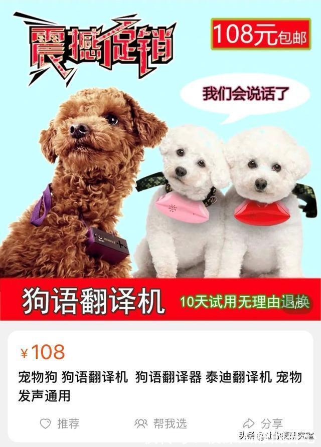中元节|千万别随便在淘宝乱搜索，哈哈沙雕卖家想笑死我啊