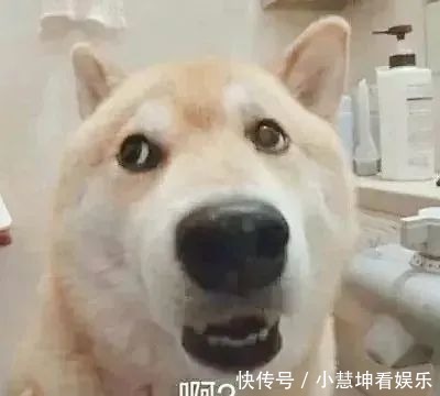我一个人|情侣头像丨爱僧不爱紫衣僧