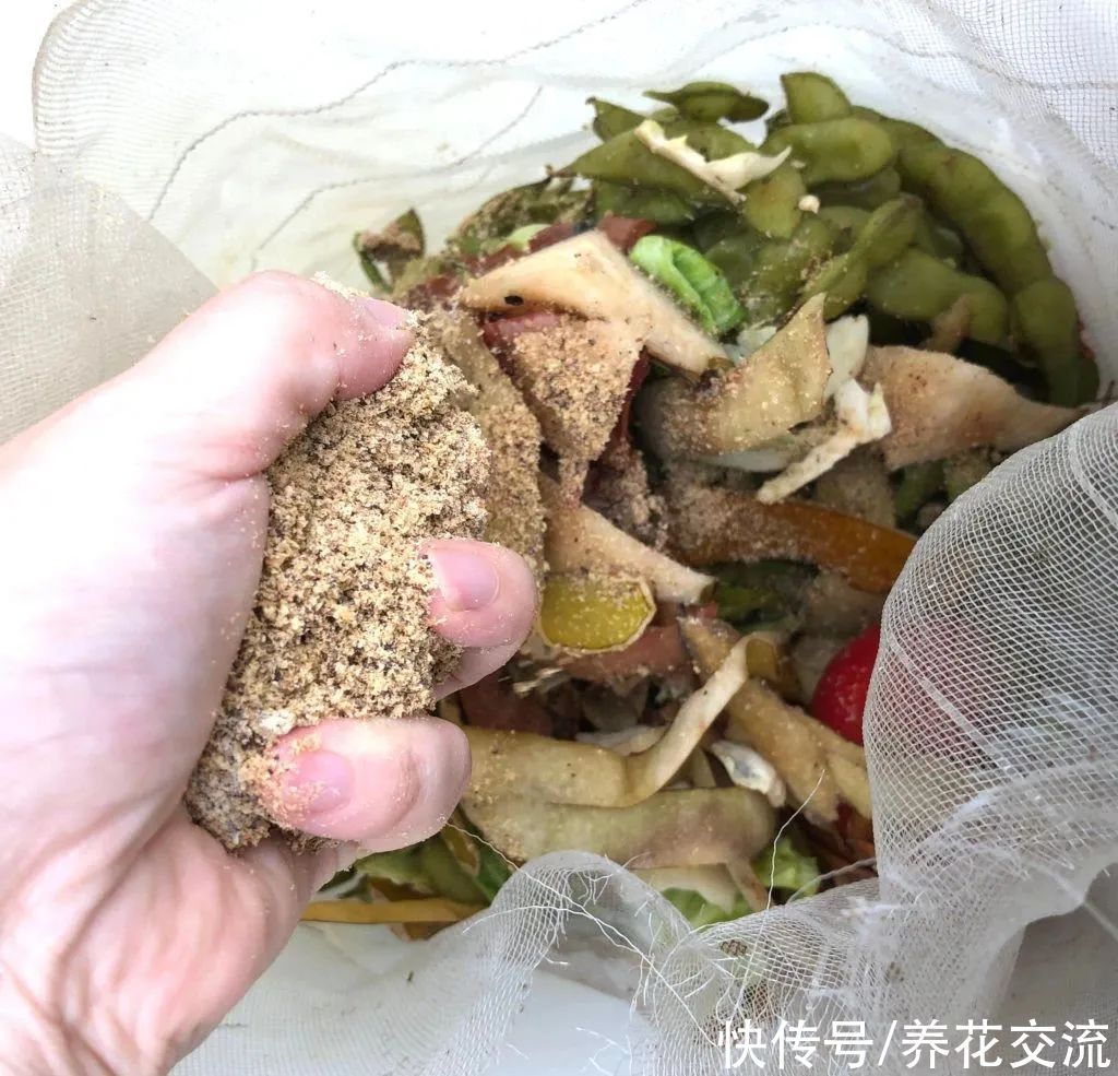 过年吃剩的果皮菜叶不要丢，可制作成快速、无臭且简单的酵素肥