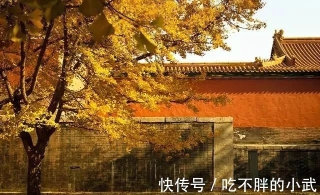 可人天#秋韵、秋思、秋雨!一品古人写给秋天的那些诗句