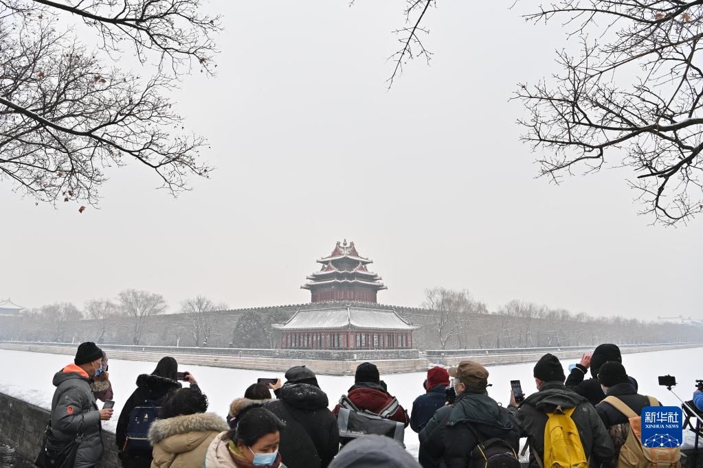 北京故宫|雪落京城美景如画