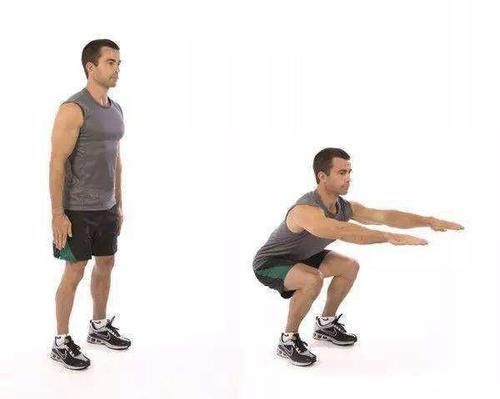 身材|一周去几次健身房能保持身材和肌肉?