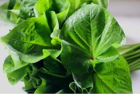 白葡萄柚|人到中年想长寿,可以多吃以下食物,美容养生,身体棒棒哒!