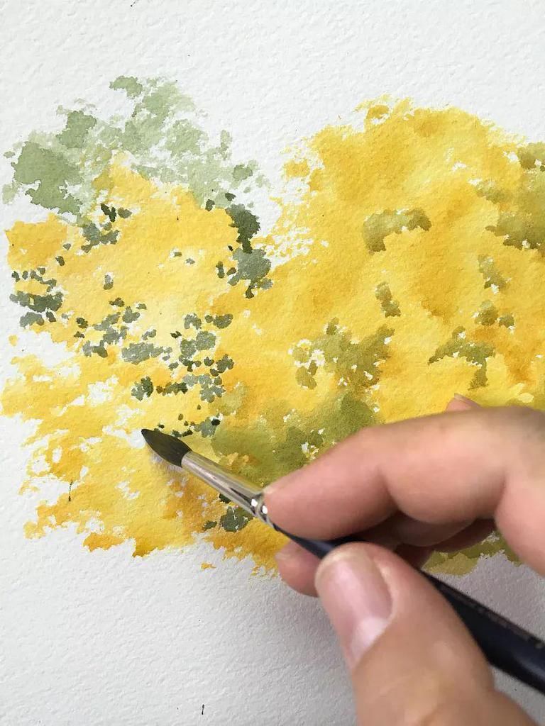  树叶|点、点、点，水彩画树就是这么简单！