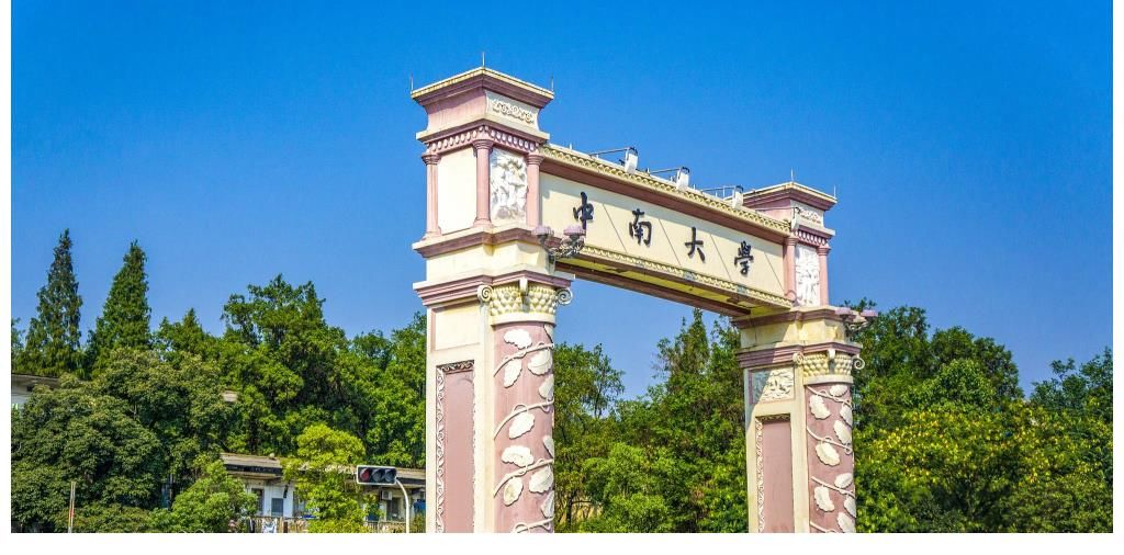 大学|中南大学，靠什么在湖南高校圈“领跑”？